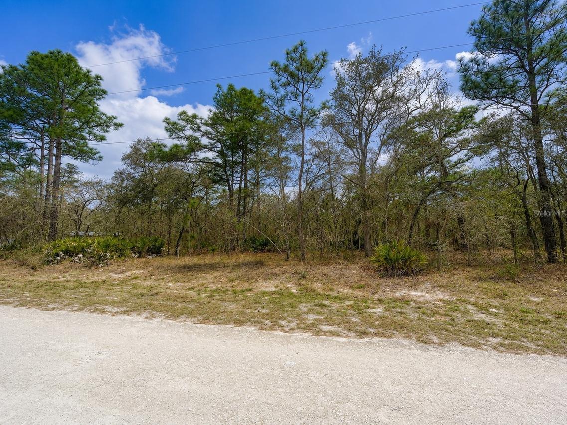 Myland Rd., Brooksville, FL 34614