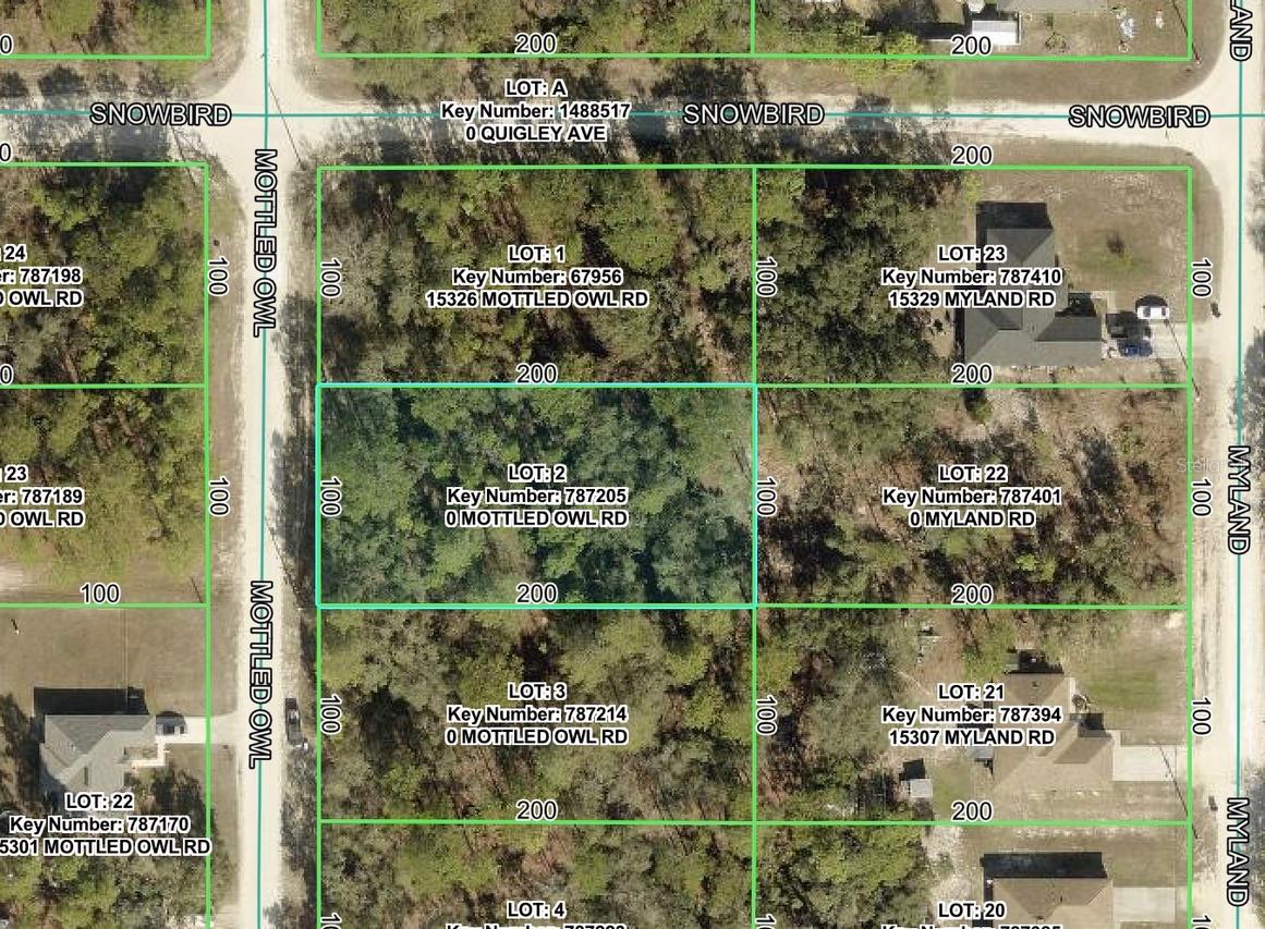 15316 Mottled Owl Rd., Brooksville, FL 34614