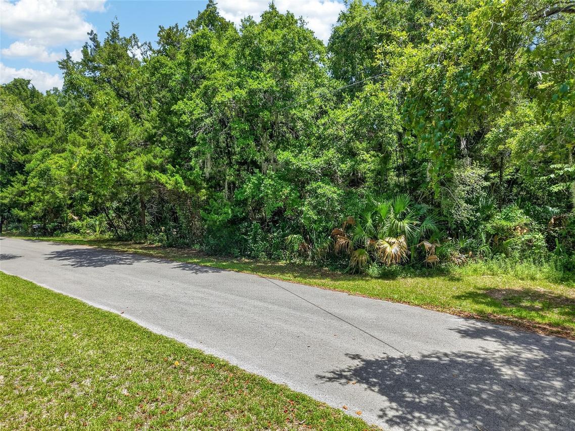 SW Palm Point, Inglis, FL 34449