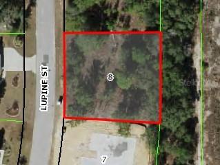 16 Lupine St., Homosassa, FL 34446