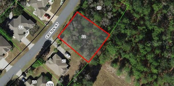 50 Cactus St., Homosassa, FL 34446