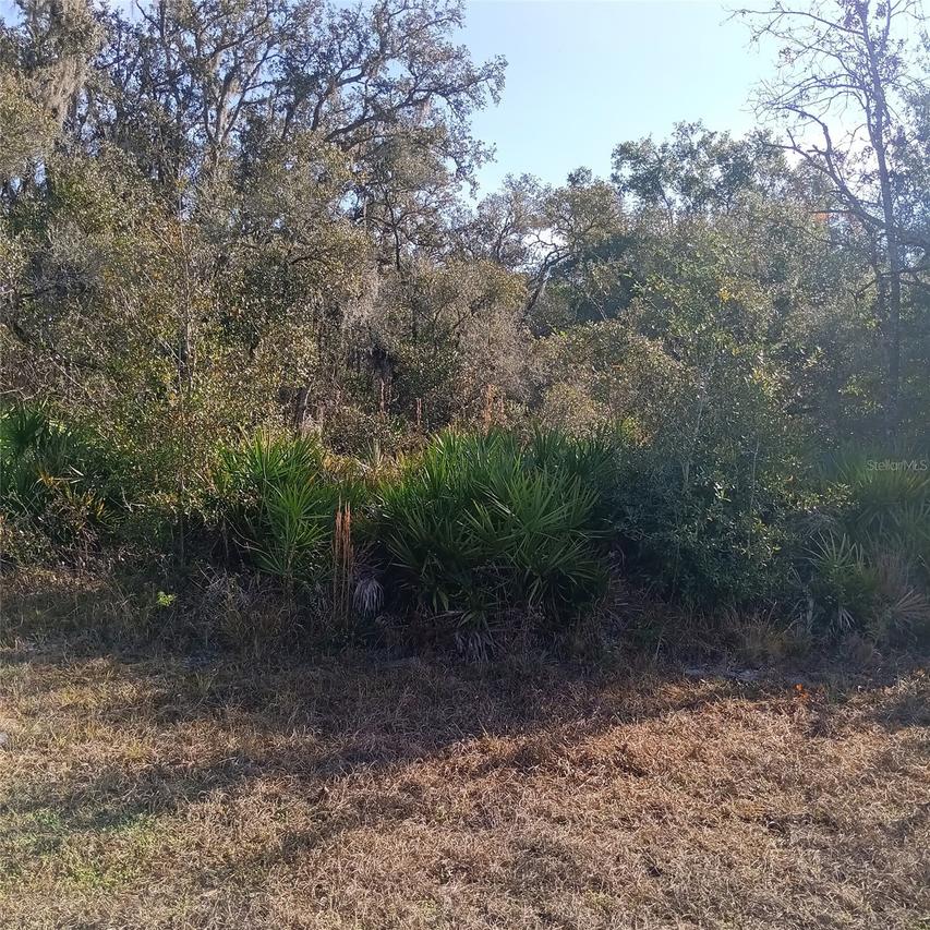 8110 Treiman Blvd., Webster, FL 33597