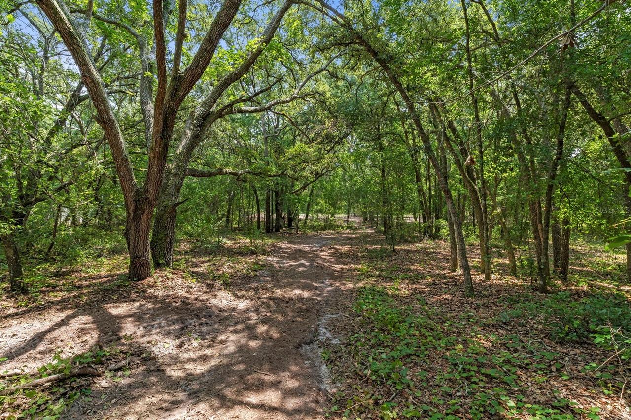 Wheystone Dr., Webster, FL 33597