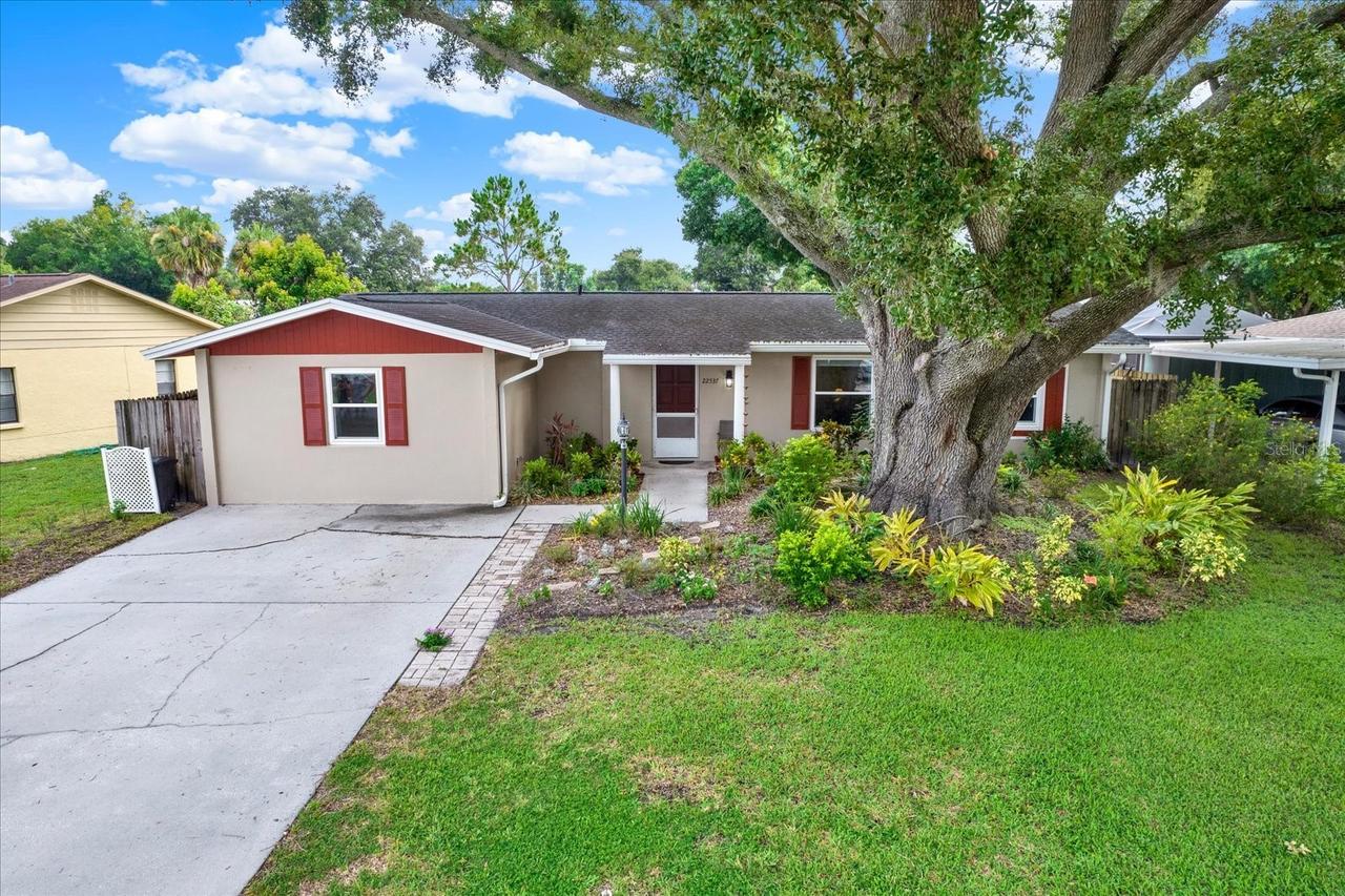 22537 Newfield Ct., Land O Lakes, FL 34639