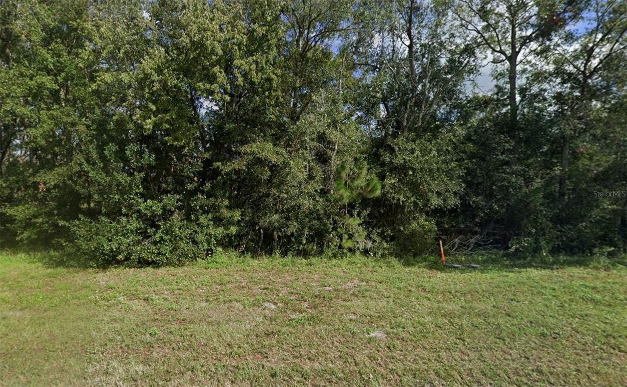 252 Commonwealth Ave., Polk City, FL 33868