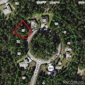 15 Alyssum Ct., Homosassa, FL 34448