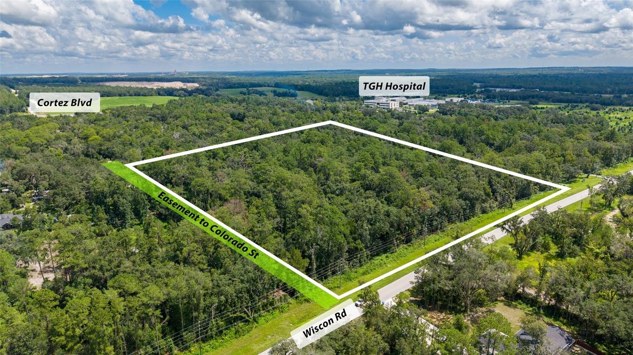 10.30 Acres Wiscon Rd., Brooksville, FL 34601