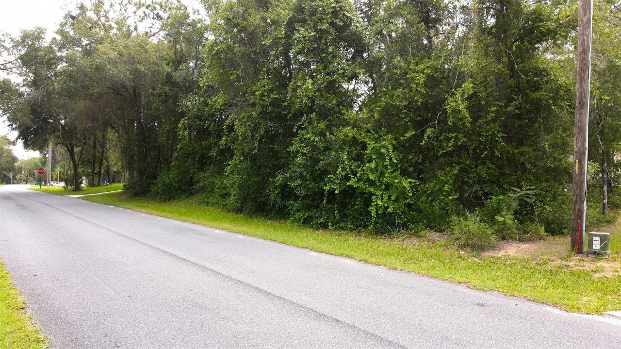 6982 N Palmer Way, Hernando, FL 34442