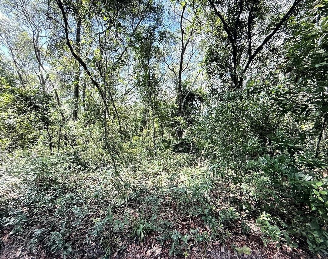 SW 150th St., Dunnellon, FL 34432