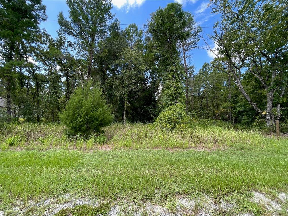 Thrasher Ave., Weeki Wachee, FL 34614