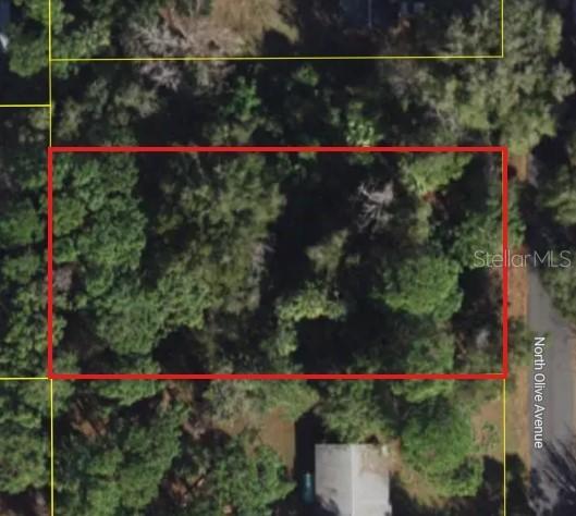 3408 N Olive Ave., Crystal River, FL 34428