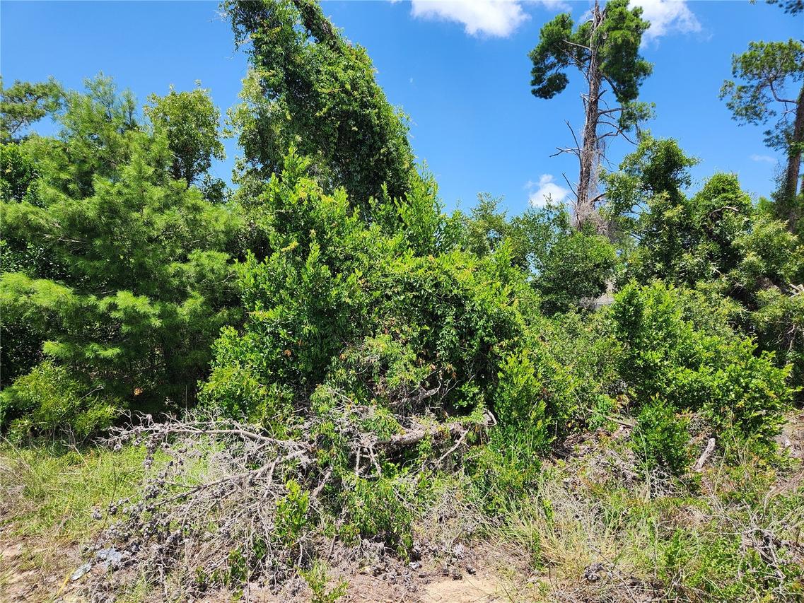 6241 Mariner Blvd. #Lot 31, Spring Hill, FL 34609