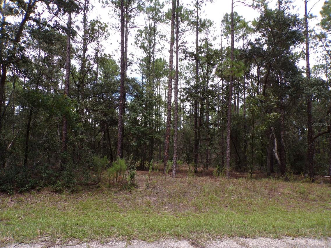 601 E Marquette Ln., Citrus Springs, FL 34434