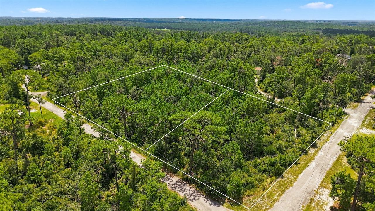 Lanier (lot 2) Ave., Brooksville, FL 34604