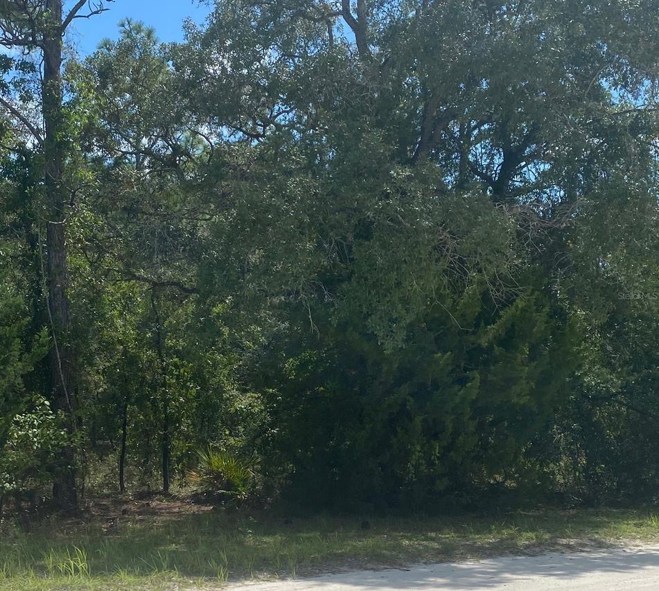 Peaceful Ave., Weeki Wachee, FL 34614