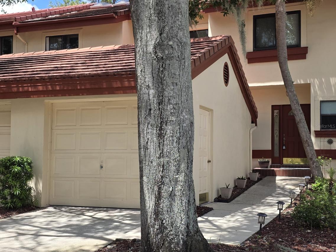 3460 Countryside Blvd. #59, Clearwater, FL 33761