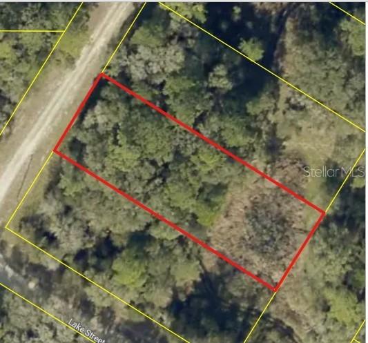 Bedstone Dr., Webster, FL 33597