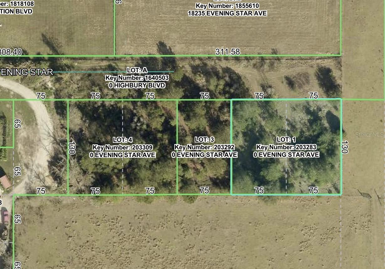 Evening Star Ave., Brooksville, FL 34604