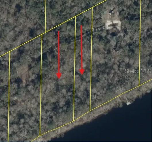 893 NE 930 St., Old Town, FL 32680