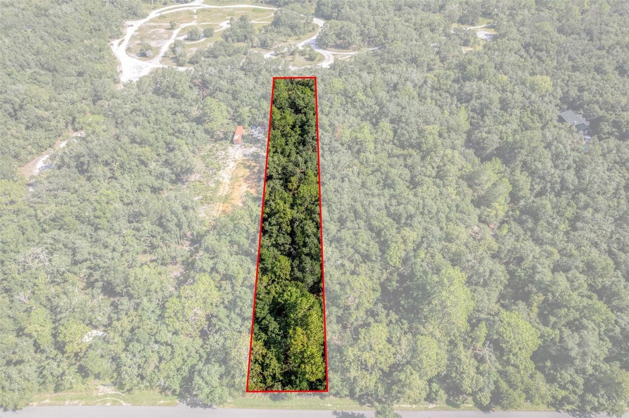 33441 Tombstone St., Webster, FL 33597