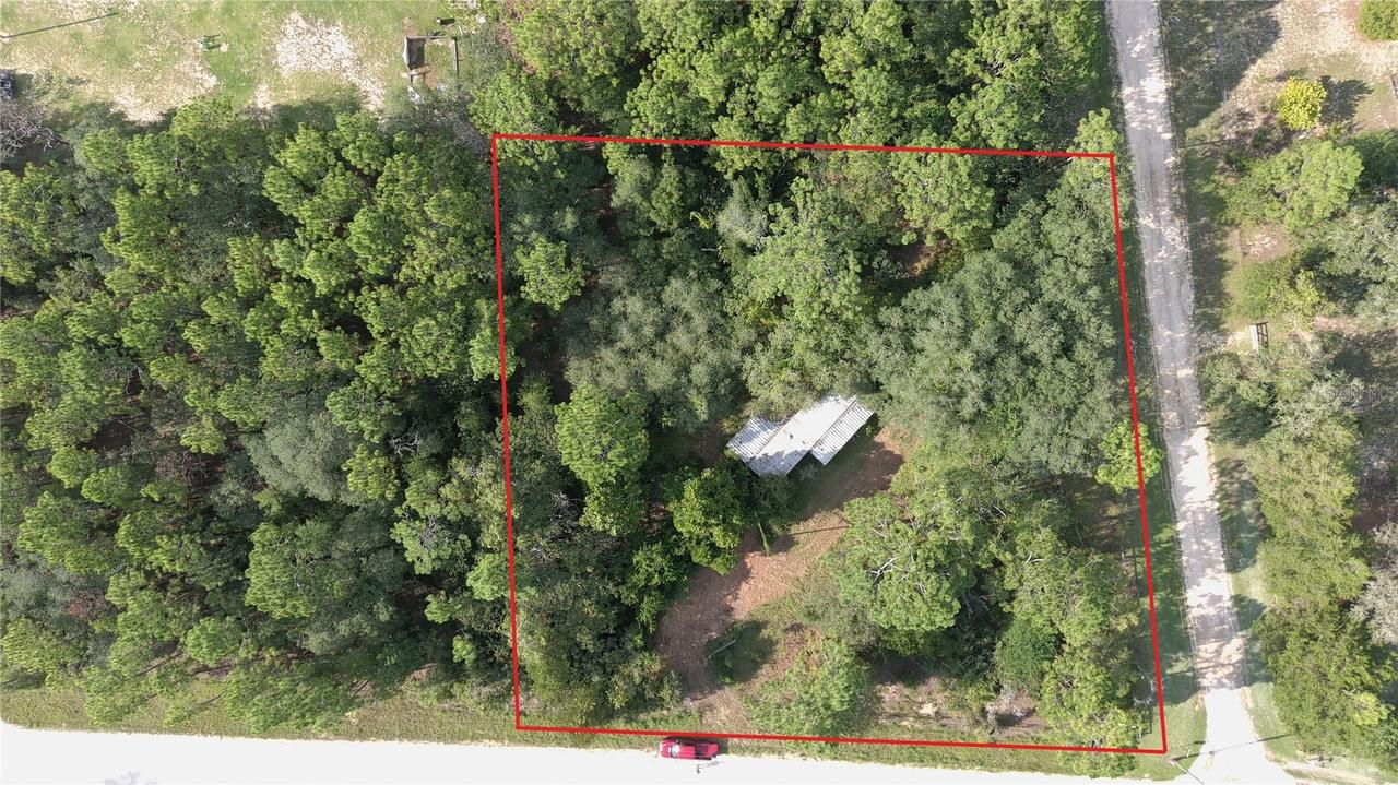 650 NE 138 Ave., Williston, FL 32696
