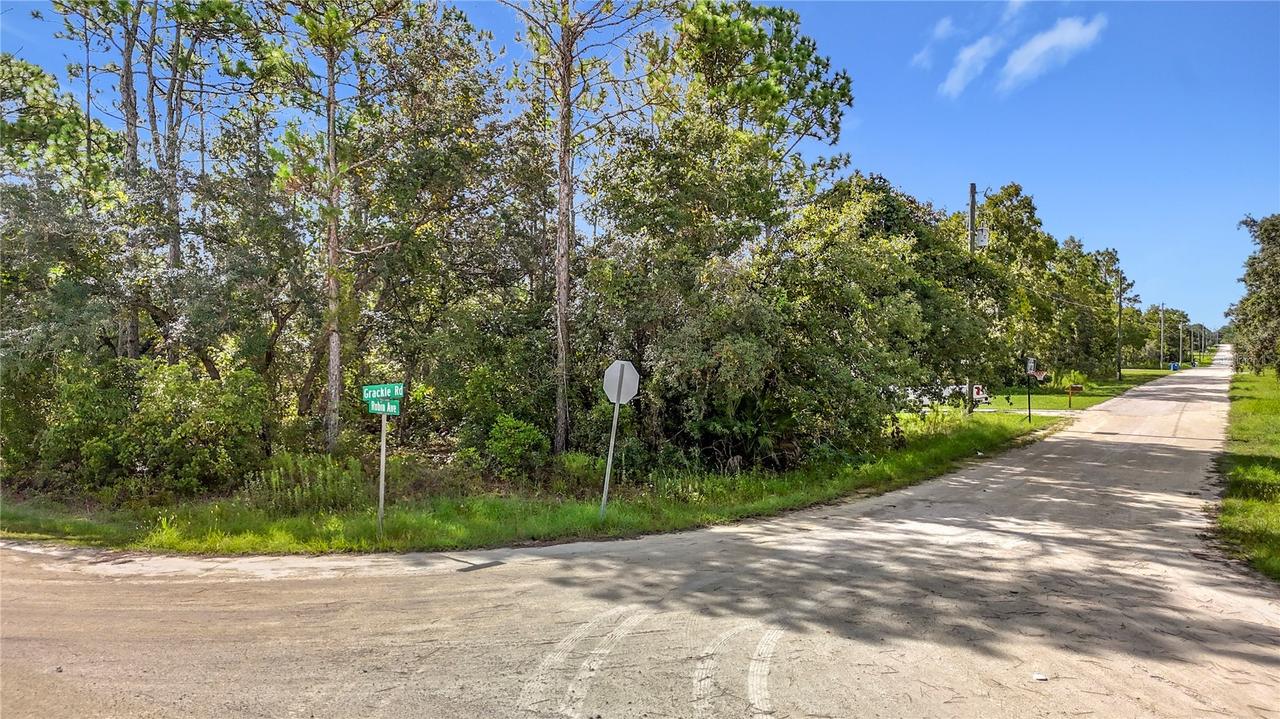 13542 Robin Ave., Weeki Wachee, FL 34614