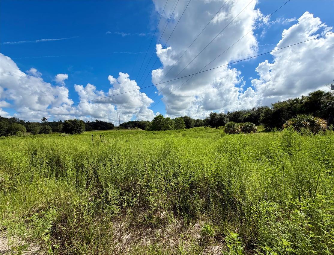 13331 Treaty Rd., Spring Hill, FL 34610