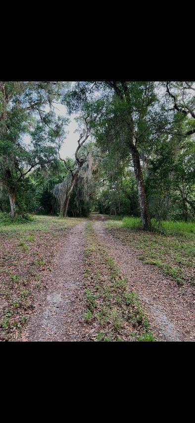 20231 Painter Place Pl., Spring Hill, FL 34610