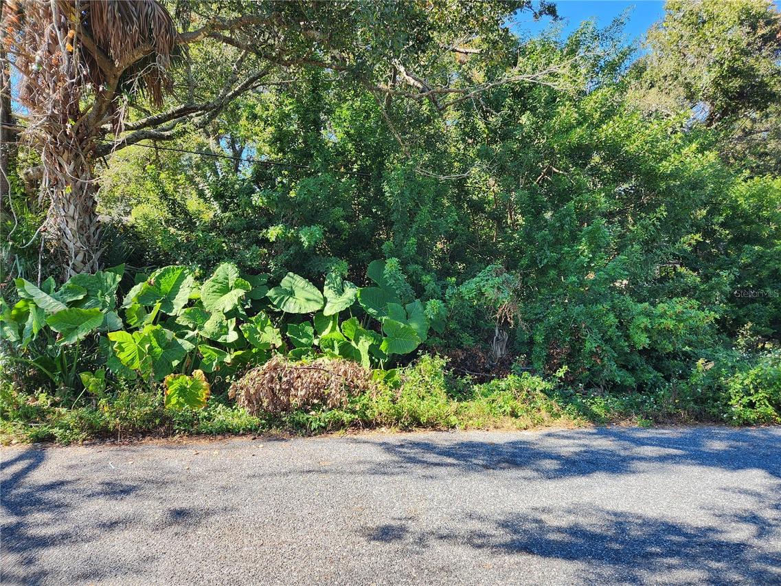 00 Atis St. #Lot #9, New Port Richey, FL 34653