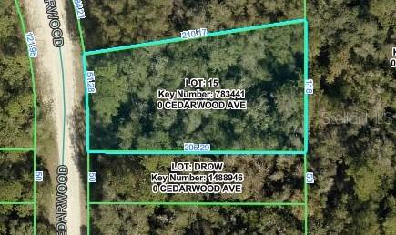 Cedarwood Ave., Weeki Wachee, FL 34614
