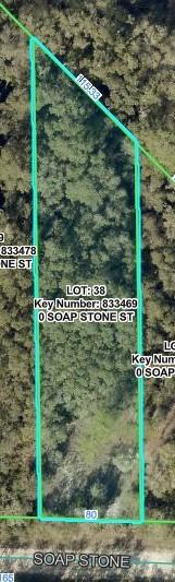 Soap Stone St., Webster, FL 33597