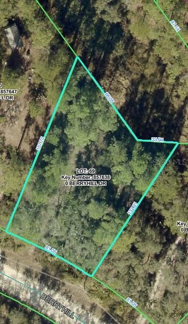 Berryhill Dr., Webster, FL 33597