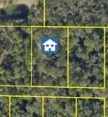 Pinon Dr., Webster, FL 33597