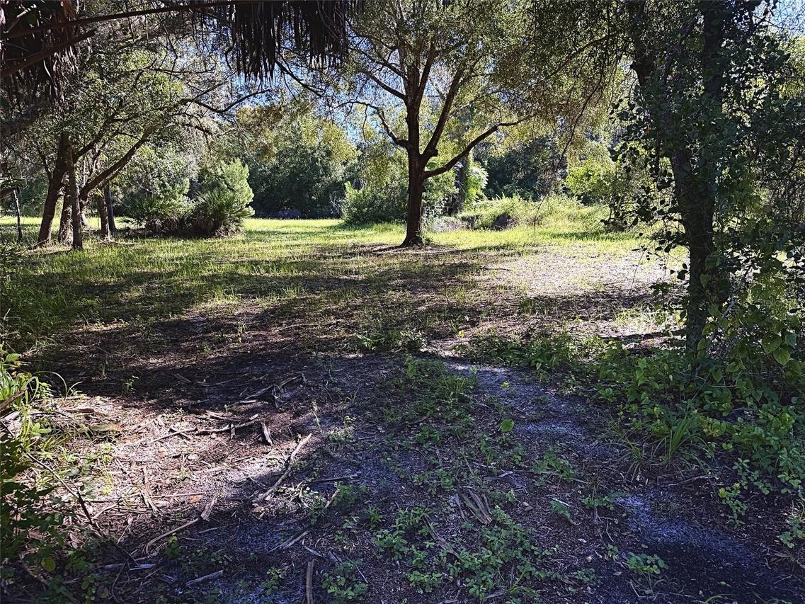 9630 Ellis St., New Port Richey, FL 34654