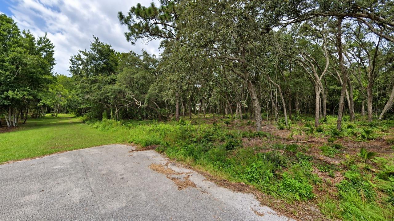 Orland St., New Port Richey, FL 34654