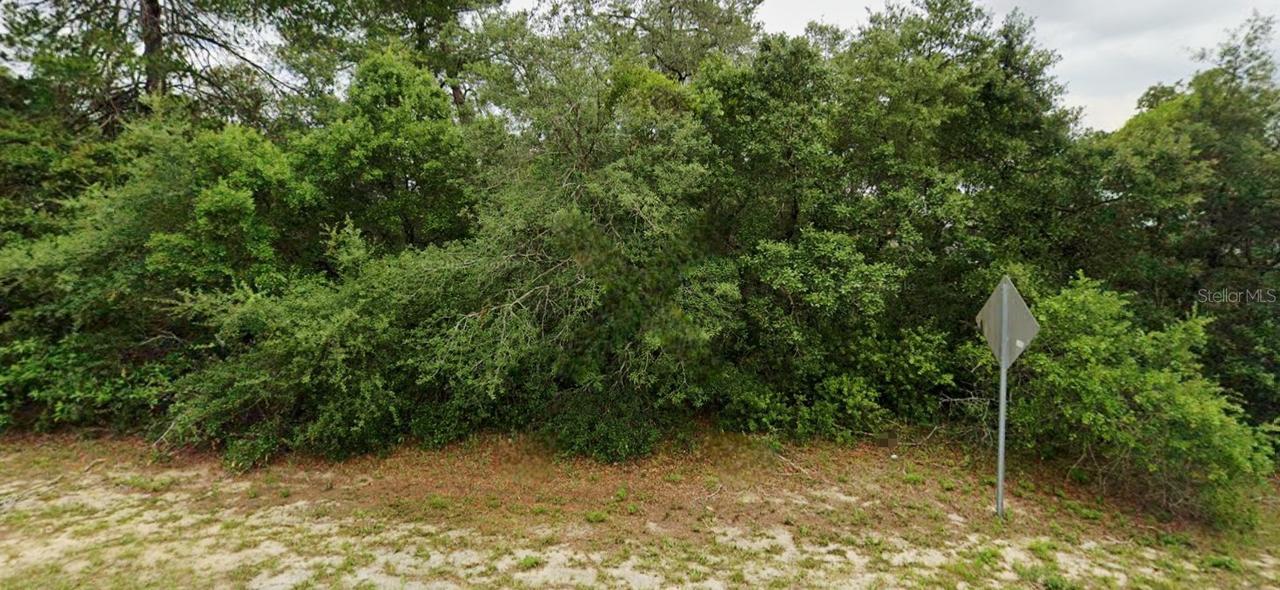 Lot 19 SW 137th Loop, Ocala, FL 34473