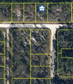 3021 Japonica Ave., Lake Placid, FL 33852
