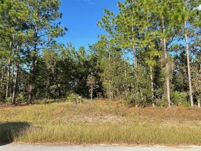 9 & 11 Poppy St., Homosassa, FL 34446