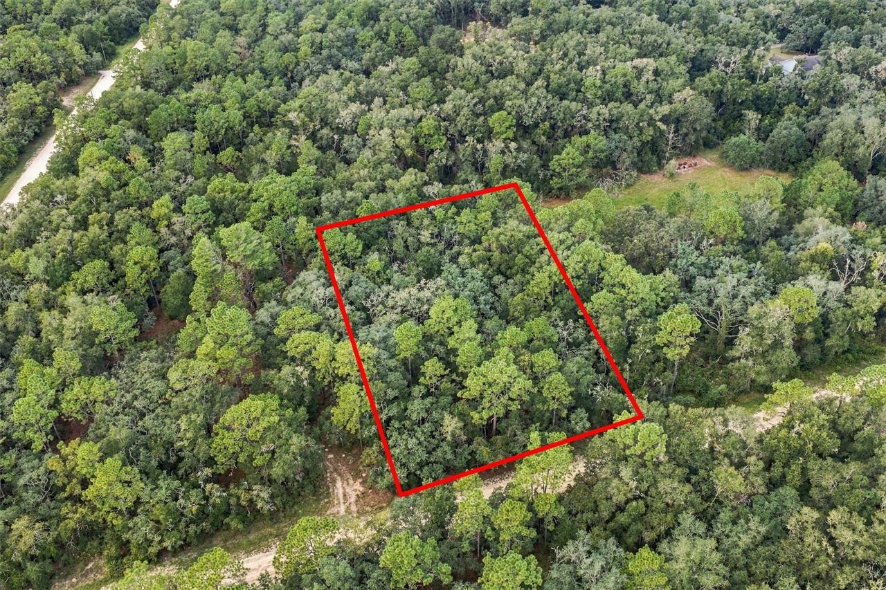 Elaine Dr., Webster, FL 33597