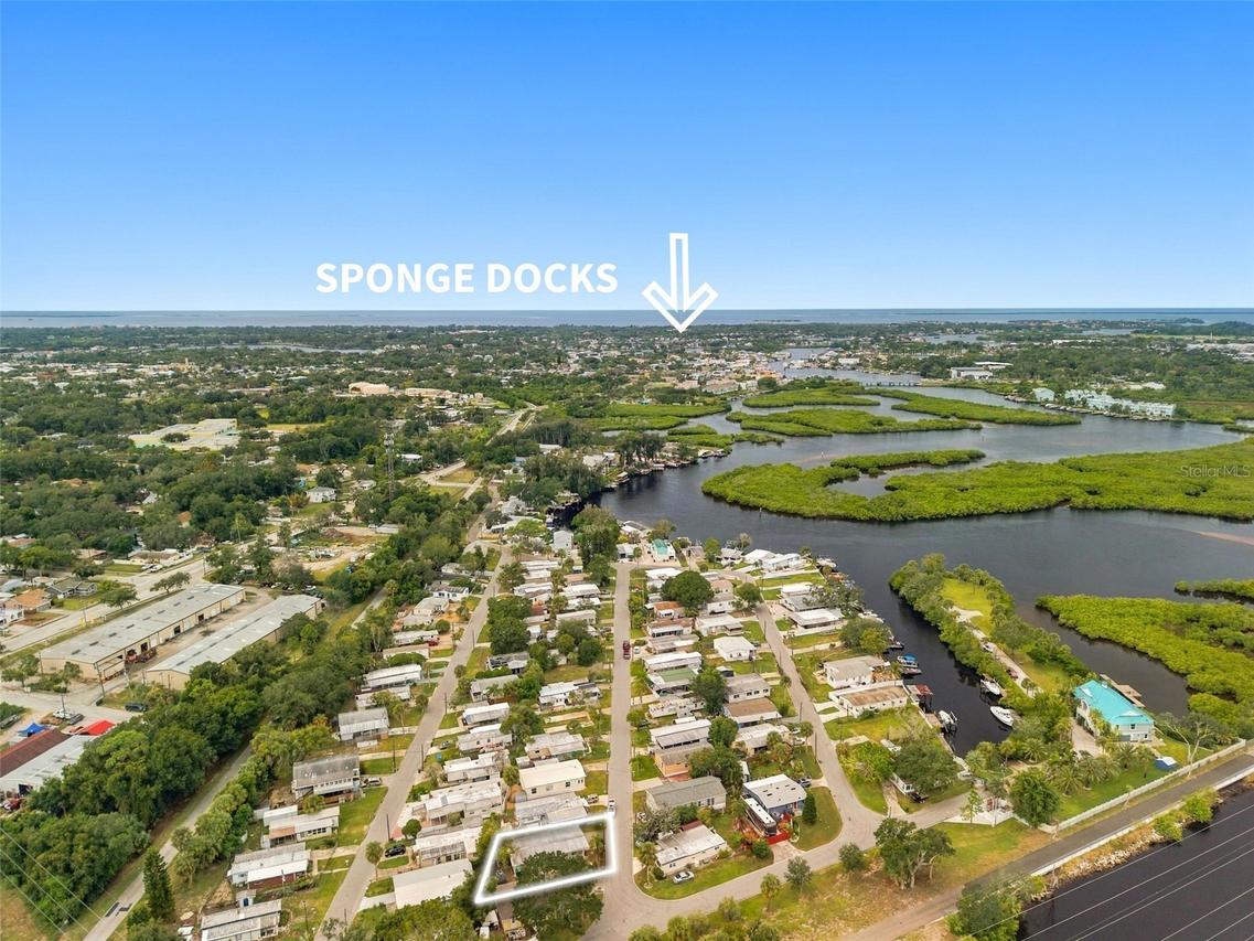 752 Driftwood Ln., Tarpon Springs, FL 34689
