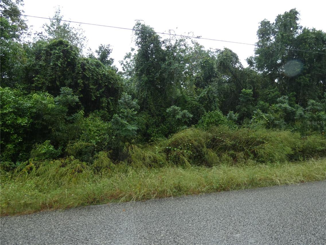Marley Ave., New Port Richey, FL 34654