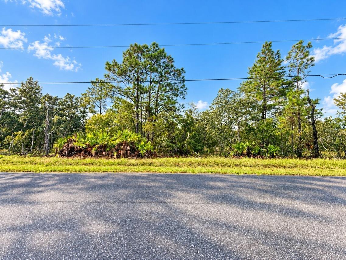 13052 Jaywalk Rd., Weeki Wachee, FL 34614