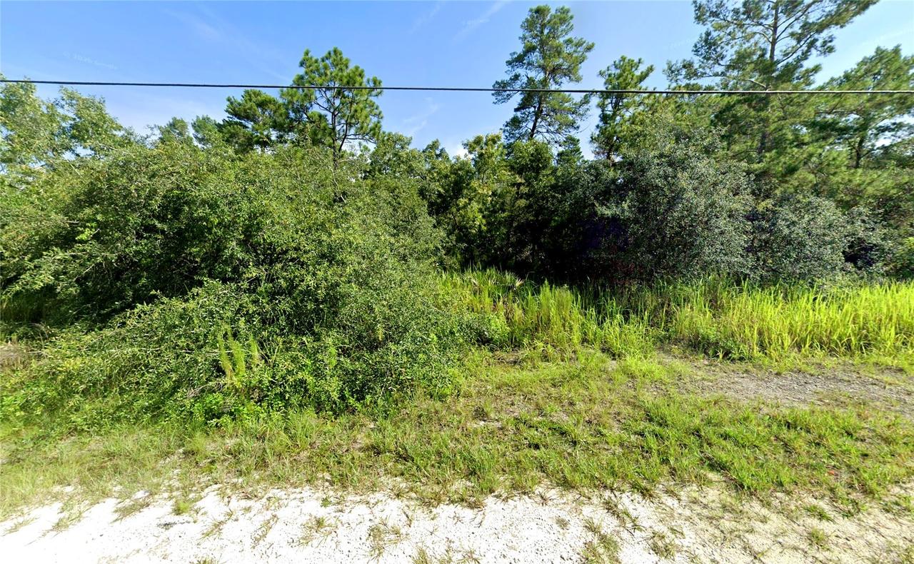 7301 Bahama Swallow Ave., Weeki Wachee, FL 34613