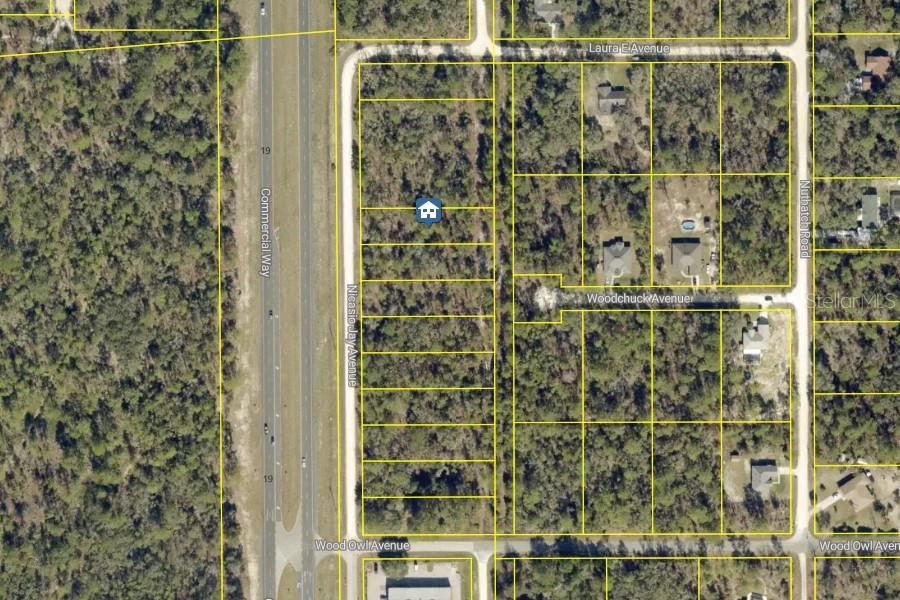 LOT 5 Nicasio Jay Ave., Weeki Wachee, FL 34614