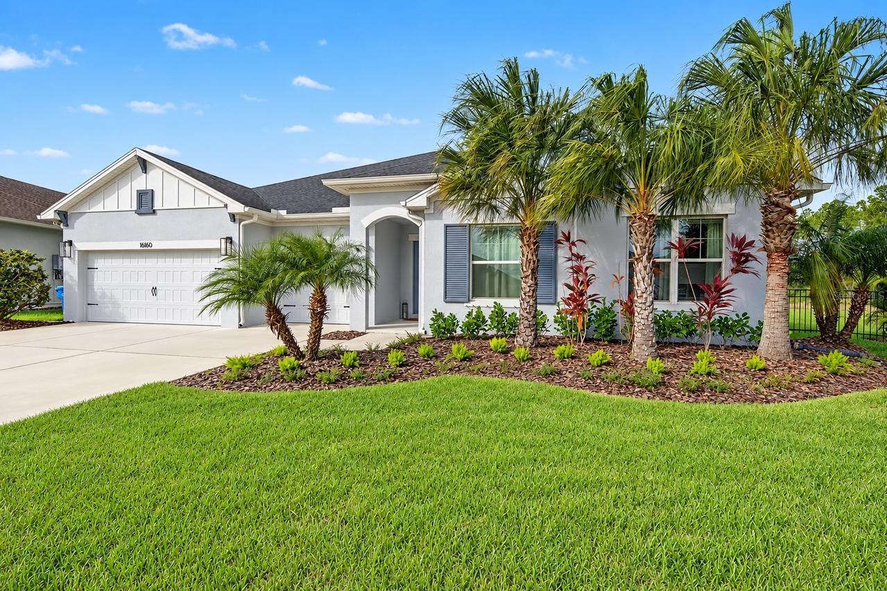 16160 November Rain Ct., Land O Lakes, FL 34638