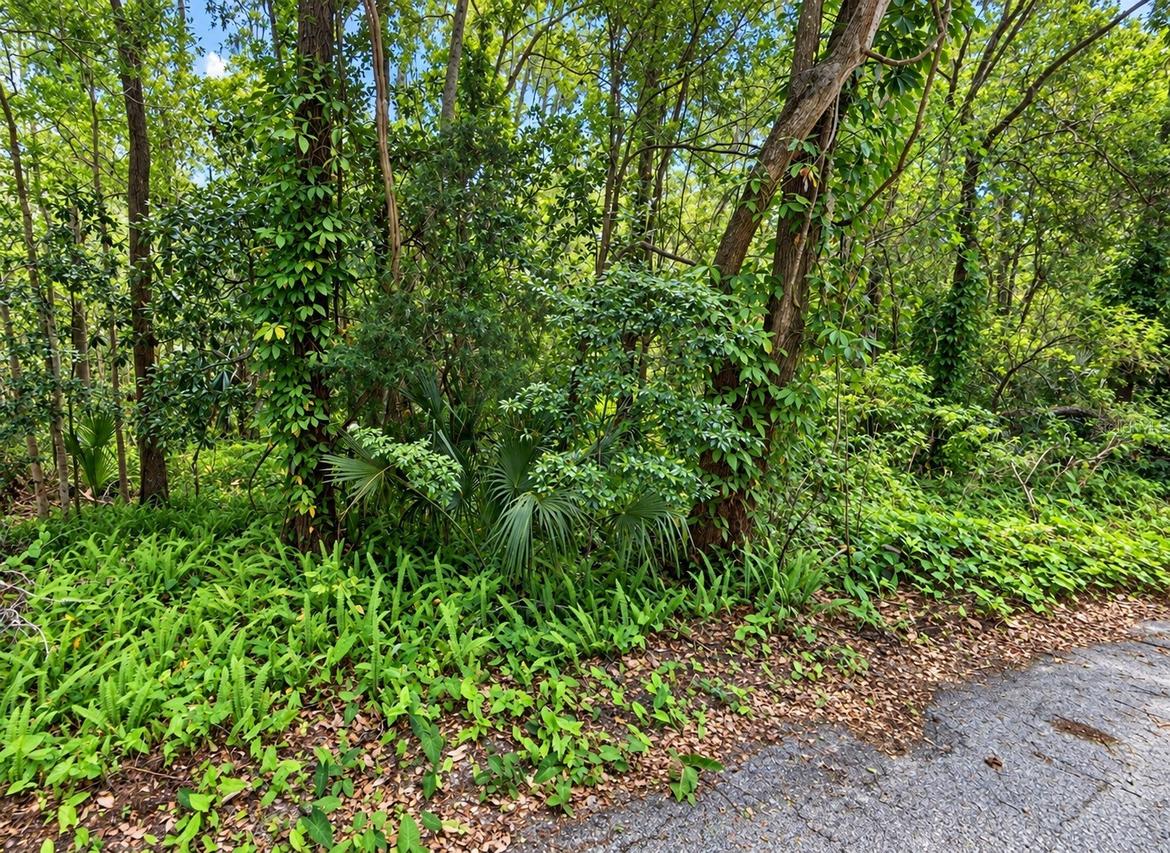 Olive St., Brooksville, FL 34601