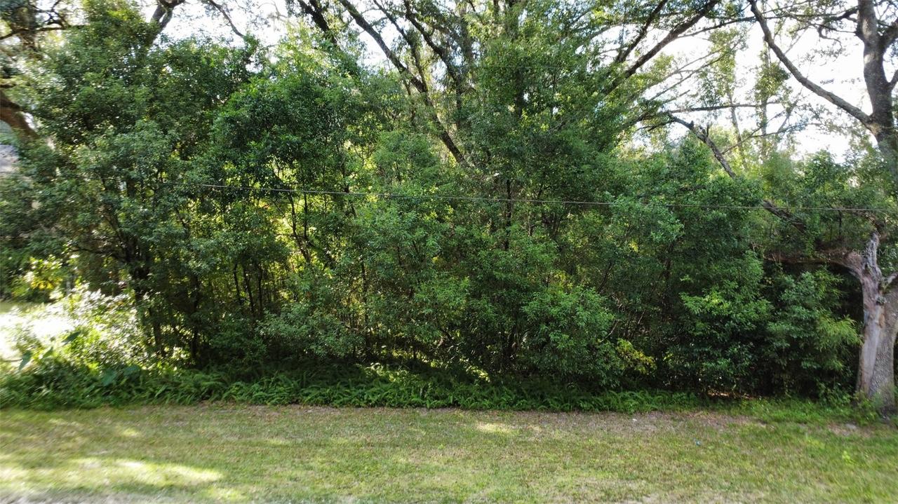 Garfield, Brooksville, FL 34604