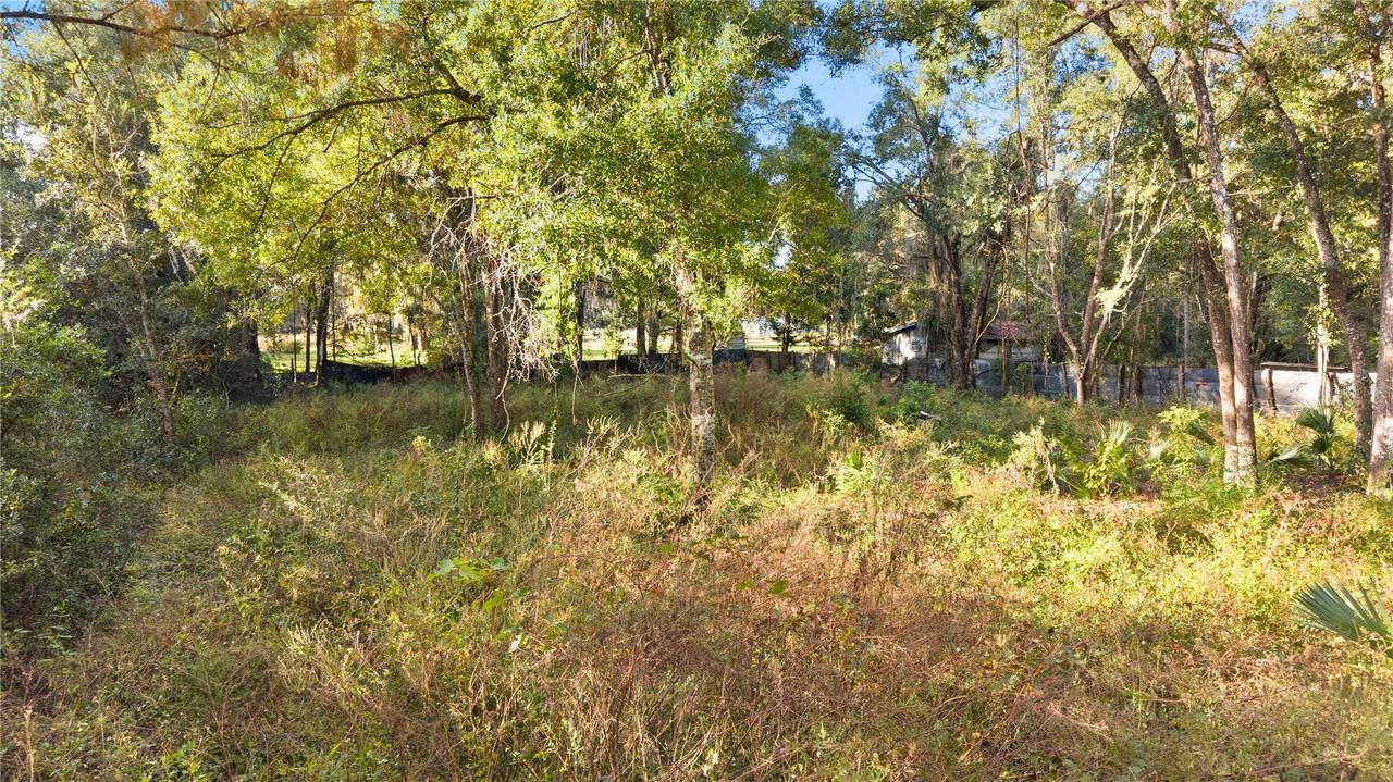 Ne 358th Ave, Old Town, FL 32680