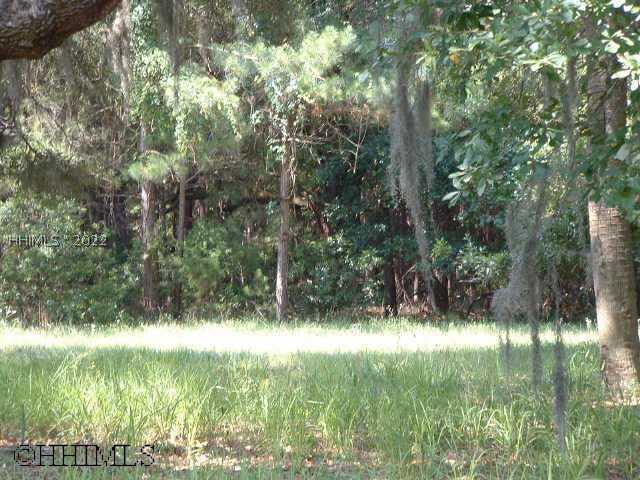 [Address Hidden by Seller], Daufuskie Island, SC 29915