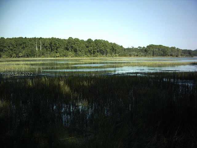 [Address Hidden by Seller], Bluffton, SC 29910